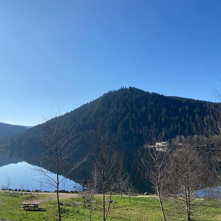 Chalet Authentique Au Calme, En Lisiere De Foret, Montagne, Sentiers 15Mn Gerardmer & Alsace "Chalet Mon Beau Sapin" Anould Exterior photo