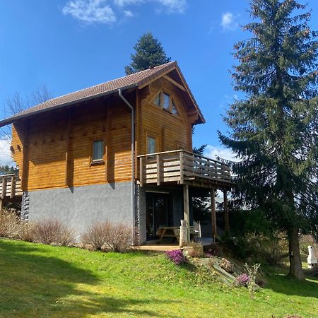 Chalet Authentique Au Calme, En Lisiere De Foret, Montagne, Sentiers 15Mn Gerardmer & Alsace "Chalet Mon Beau Sapin" Anould Exterior photo