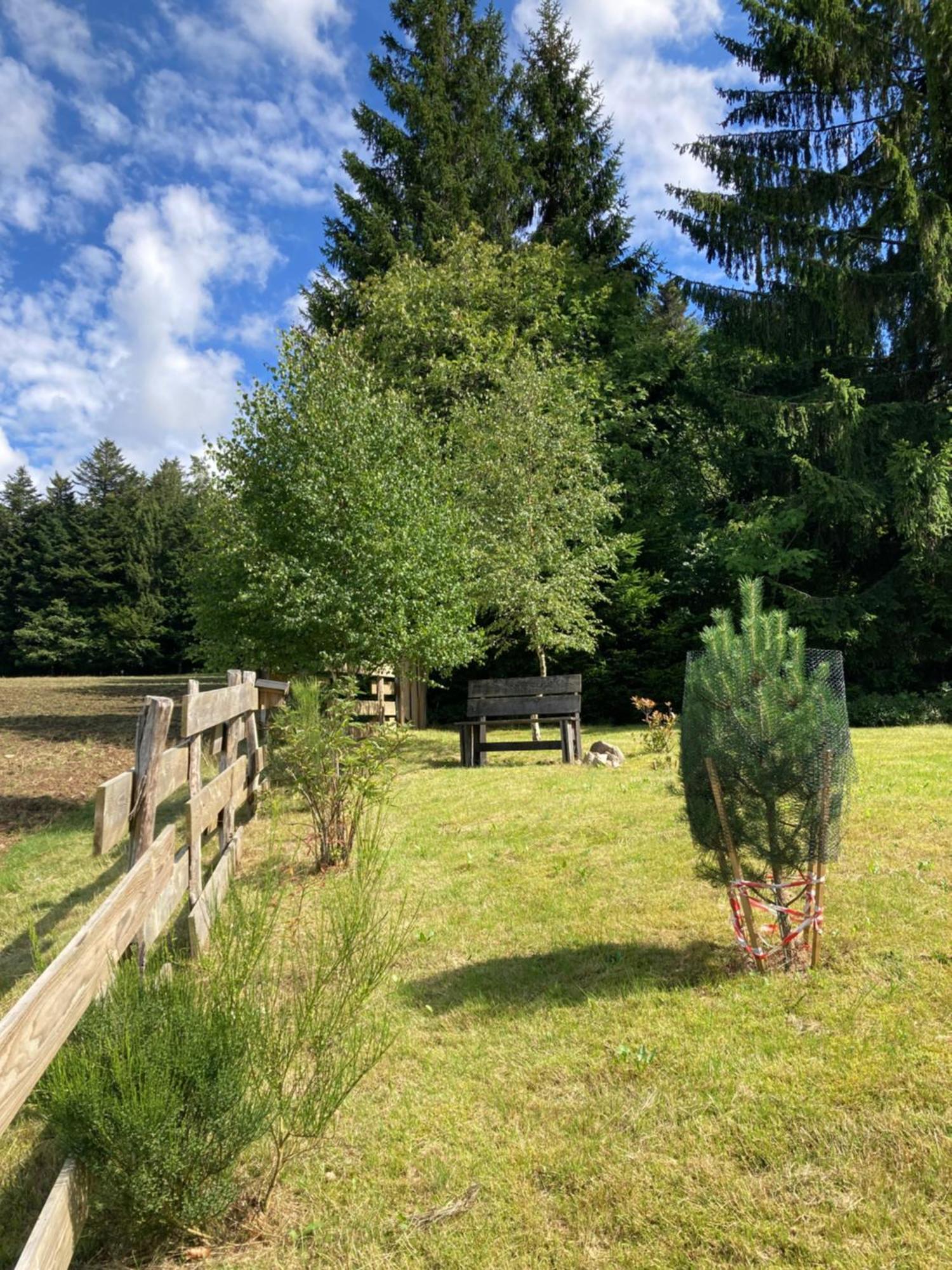 Chalet Authentique Au Calme, En Lisiere De Foret, Montagne, Sentiers 15Mn Gerardmer & Alsace "Chalet Mon Beau Sapin" Anould Exterior photo