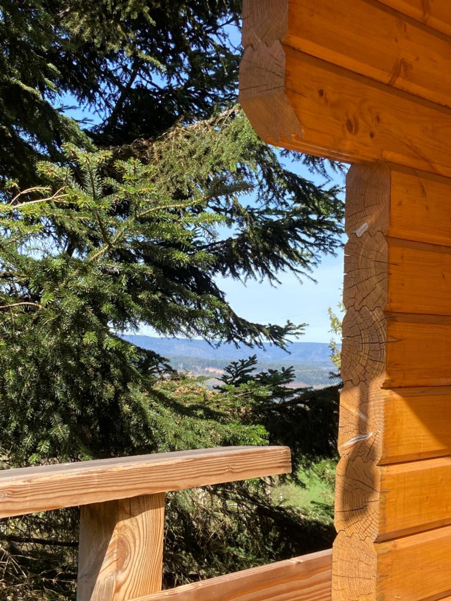 Chalet Authentique Au Calme, En Lisiere De Foret, Montagne, Sentiers 15Mn Gerardmer & Alsace "Chalet Mon Beau Sapin" Anould Exterior photo
