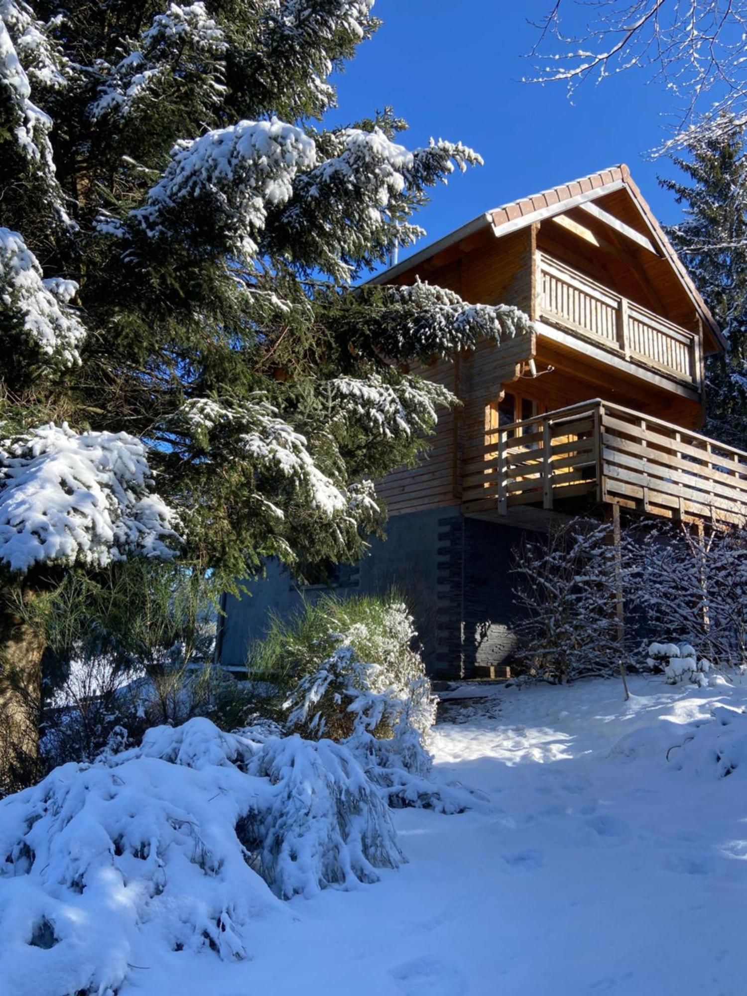 Chalet Authentique Au Calme, En Lisiere De Foret, Montagne, Sentiers 15Mn Gerardmer & Alsace "Chalet Mon Beau Sapin" Anould Exterior photo
