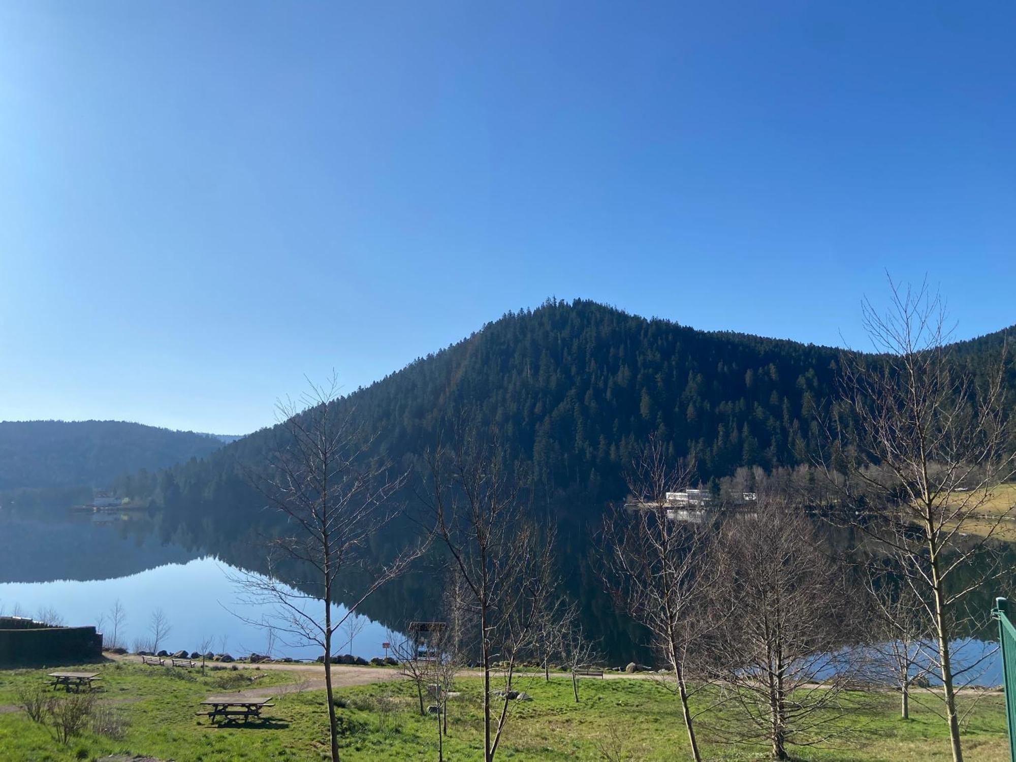 Chalet Authentique Au Calme, En Lisiere De Foret, Montagne, Sentiers 15Mn Gerardmer & Alsace "Chalet Mon Beau Sapin" Anould Exterior photo